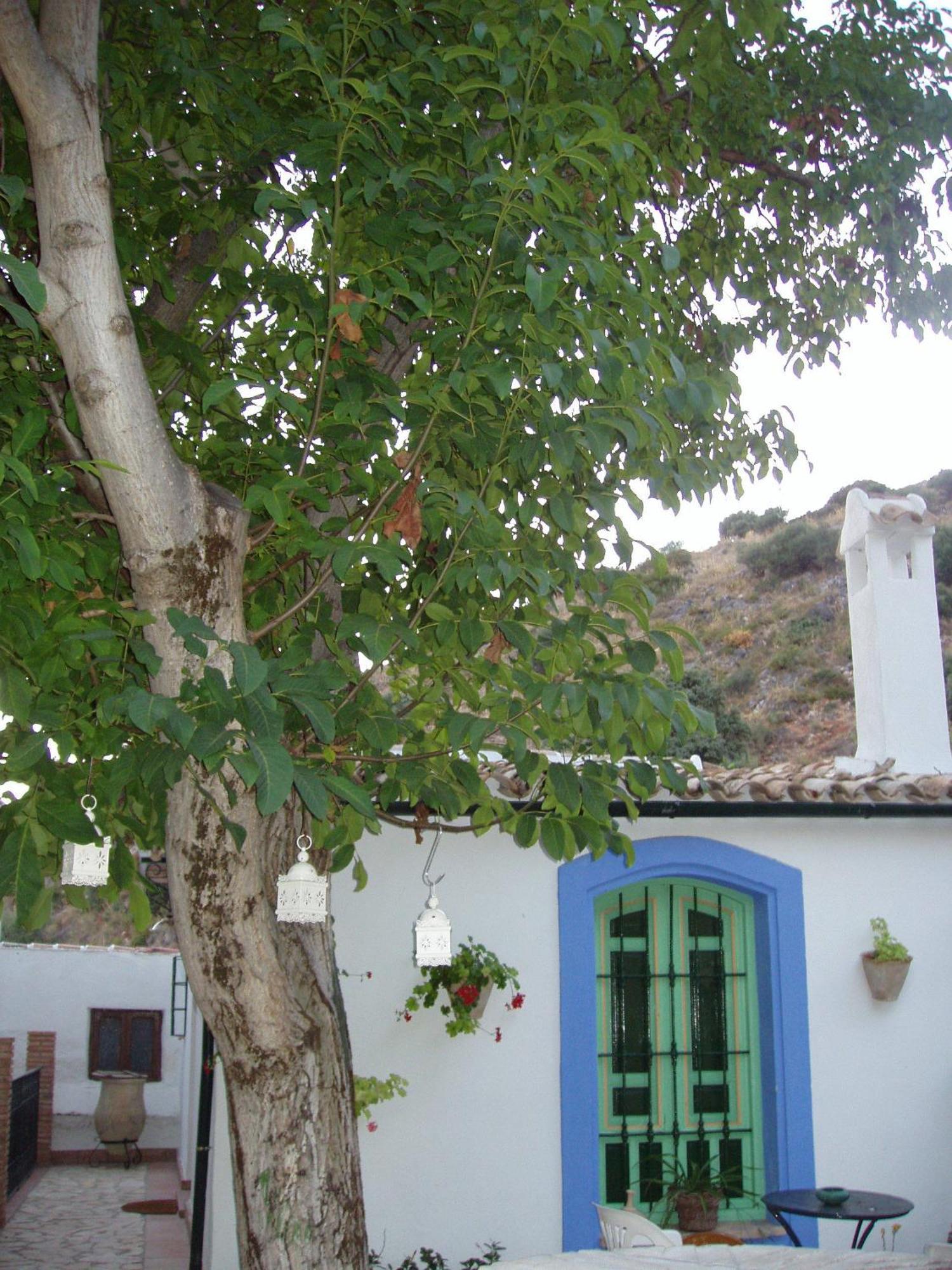 El Rincon De Carmen Guest House Rute Exterior photo